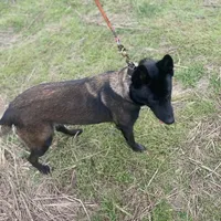 processed/6d03553d-2e80-4164-bc23-38069ee156b9/facility/fabaaaa2-d622-453d-84b3-fe991aabcc21