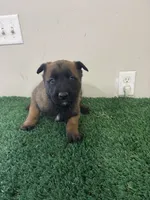 processed/6d03553d-2e80-4164-bc23-38069ee156b9/listing/119f7f48-cd40-4ee5-b624-57040373a5e1/29d3b3a4-ce0f-4340-a4c1-a34aec0f4596