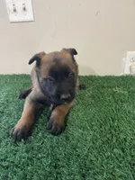 processed/6d03553d-2e80-4164-bc23-38069ee156b9/listing/119f7f48-cd40-4ee5-b624-57040373a5e1/37f7d269-341a-4584-ad11-256671da8620