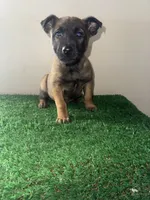 processed/6d03553d-2e80-4164-bc23-38069ee156b9/listing/a8b1a3f4-8153-4b64-8d27-d96680497504/5eefb87c-94fb-484c-b65d-e76540eeef58