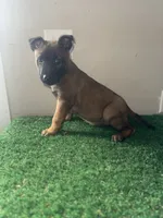 processed/6d03553d-2e80-4164-bc23-38069ee156b9/listing/a8b1a3f4-8153-4b64-8d27-d96680497504/6fb4f94f-ad9a-4f41-b239-3d9c19070f53