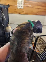 processed/6d0b956f-7818-4fe9-bf8a-3e605cec0f6f/listing/acbffe79-ec04-44ff-b6bf-a282077fa821/433b3add-b096-4328-9b52-3b45c0789dd0