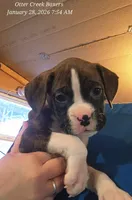 processed/6d0b956f-7818-4fe9-bf8a-3e605cec0f6f/listing/acbffe79-ec04-44ff-b6bf-a282077fa821/8a238d4d-efd3-47d7-b84e-d227c8de1e3e