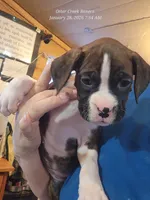 processed/6d0b956f-7818-4fe9-bf8a-3e605cec0f6f/listing/acbffe79-ec04-44ff-b6bf-a282077fa821/d859bc33-f2a8-40b1-bf0e-3a8b7ed5b628