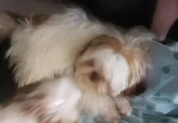 processed/6d0f3f46-a0ba-48b7-9bf6-ac2825a22e94/listing/70d7a073-cdc6-452a-8601-60284945335f/1695c94e-3546-4d2d-a1c8-007ed1b039f7