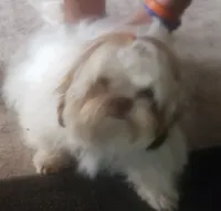 processed/6d0f3f46-a0ba-48b7-9bf6-ac2825a22e94/listing/70d7a073-cdc6-452a-8601-60284945335f/789fd601-a2cb-4480-b769-08aff266cf15