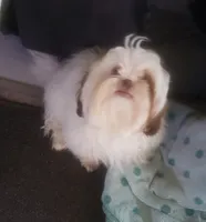 processed/6d0f3f46-a0ba-48b7-9bf6-ac2825a22e94/listing/70d7a073-cdc6-452a-8601-60284945335f/8f7a530a-2b52-446f-ab9b-95e23aa52395