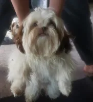 processed/6d0f3f46-a0ba-48b7-9bf6-ac2825a22e94/listing/70d7a073-cdc6-452a-8601-60284945335f/96274781-1e84-498c-a285-b3fb85388935