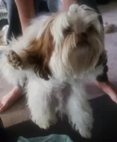 processed/6d0f3f46-a0ba-48b7-9bf6-ac2825a22e94/listing/70d7a073-cdc6-452a-8601-60284945335f/adef7362-fdfe-48b4-8b09-2386a6d8474c