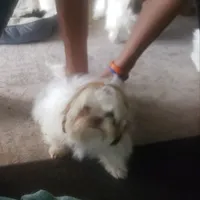 processed/6d0f3f46-a0ba-48b7-9bf6-ac2825a22e94/listing/70d7a073-cdc6-452a-8601-60284945335f/c7303ef2-9bac-4a3a-bcca-90752c07e60c