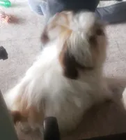 processed/6d0f3f46-a0ba-48b7-9bf6-ac2825a22e94/listing/70d7a073-cdc6-452a-8601-60284945335f/cc8240b4-27ac-4ebc-93c6-0fe9c9438342