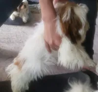 processed/6d0f3f46-a0ba-48b7-9bf6-ac2825a22e94/listing/70d7a073-cdc6-452a-8601-60284945335f/d4748c44-e6f0-4378-b93a-1840ddd7c40f