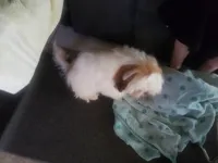 processed/6d0f3f46-a0ba-48b7-9bf6-ac2825a22e94/listing/70d7a073-cdc6-452a-8601-60284945335f/df54200e-7493-4813-81f6-b70867852393