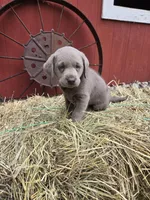 processed/6d1123ac-805a-4141-9b04-088d63dac348/listing/366f98bb-d9ed-4a59-a9ed-5c1a8c372a1d/271ad9b1-72de-4d7e-a949-dff28e872d0a