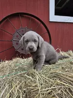 processed/6d1123ac-805a-4141-9b04-088d63dac348/listing/366f98bb-d9ed-4a59-a9ed-5c1a8c372a1d/4dd64290-d3c0-4dd8-ab44-0fbd5f3ed713