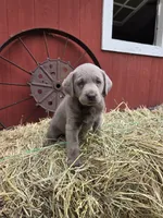 processed/6d1123ac-805a-4141-9b04-088d63dac348/listing/366f98bb-d9ed-4a59-a9ed-5c1a8c372a1d/532e3e83-14f8-4b5a-be82-4b94cc95a80e