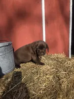 processed/6d1123ac-805a-4141-9b04-088d63dac348/listing/809a397d-c508-40f1-b9b2-9fd148c3e6aa/445da19c-6a4f-4274-a28b-fa2eda5017f1