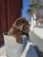 processed/6d1123ac-805a-4141-9b04-088d63dac348/listing/809a397d-c508-40f1-b9b2-9fd148c3e6aa/be53d223-d577-4417-a5ab-4f598f58b2a6