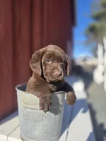 processed/6d1123ac-805a-4141-9b04-088d63dac348/listing/809a397d-c508-40f1-b9b2-9fd148c3e6aa/e988412d-a512-4caf-a86e-2f9b8b9a2643