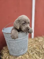 processed/6d1123ac-805a-4141-9b04-088d63dac348/listing/c09005c2-9939-42df-8a86-512fa27871af/0b7f9469-ba42-4fd2-a3eb-066ec4a367e0