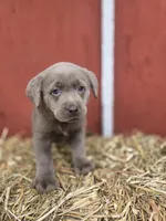 processed/6d1123ac-805a-4141-9b04-088d63dac348/listing/c09005c2-9939-42df-8a86-512fa27871af/4616b0bc-292f-4ef4-9413-99d450c196f4