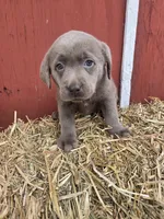 processed/6d1123ac-805a-4141-9b04-088d63dac348/listing/c09005c2-9939-42df-8a86-512fa27871af/5c2a564f-d819-4dce-8241-aabe7805f06c