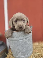 processed/6d1123ac-805a-4141-9b04-088d63dac348/listing/c09005c2-9939-42df-8a86-512fa27871af/9e693c91-c1f8-4c2b-8695-fbeeca1c5684