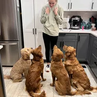 processed/6d113c41-bf2d-4999-932d-d99dc0067914/facility/da27cfad-5250-4e51-a9e9-65362cae228e