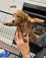 processed/6d113c41-bf2d-4999-932d-d99dc0067914/listing/d9257472-40d7-47fe-96b3-35da748b79d1/121a5e69-efd7-4bdd-9f36-d5a17f71e02e