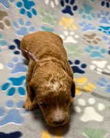 processed/6d113c41-bf2d-4999-932d-d99dc0067914/listing/d9257472-40d7-47fe-96b3-35da748b79d1/4a49a44e-5643-4877-8b64-b0e64d5802a8