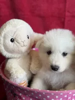 processed/6d11a35d-e48f-482f-88d9-84531793596b/listing/0aadb3f9-03a7-4072-b2fa-874c10155018/510cf7df-ffba-4938-8e95-a317a3c3b6d0