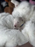 processed/6d11a35d-e48f-482f-88d9-84531793596b/listing/0aadb3f9-03a7-4072-b2fa-874c10155018/5e15eecf-fae7-437d-8fae-b2253734bd6d