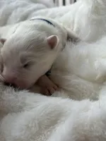 processed/6d11a35d-e48f-482f-88d9-84531793596b/listing/0aadb3f9-03a7-4072-b2fa-874c10155018/74e4be5c-938d-46f1-b198-e5b33ae6b3f1