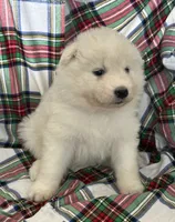 processed/6d11a35d-e48f-482f-88d9-84531793596b/listing/0aadb3f9-03a7-4072-b2fa-874c10155018/7f751167-31f9-4785-8b89-fdfddc5d7e1b