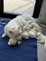 processed/6d11a35d-e48f-482f-88d9-84531793596b/listing/0aadb3f9-03a7-4072-b2fa-874c10155018/ad644dd8-7307-45da-a479-a34934a6e23c