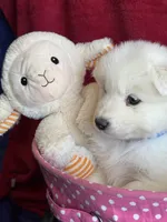 processed/6d11a35d-e48f-482f-88d9-84531793596b/listing/0aadb3f9-03a7-4072-b2fa-874c10155018/e3cd1897-14bb-4143-a756-861483c37745