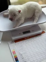 processed/6d11a35d-e48f-482f-88d9-84531793596b/listing/0aadb3f9-03a7-4072-b2fa-874c10155018/feb26f07-369b-4cde-b810-a2394c56e6b1