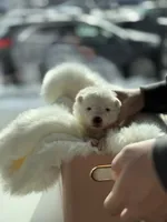 processed/6d11a35d-e48f-482f-88d9-84531793596b/listing/2ec2620d-a6ba-451e-9e1b-5e503f2a6309/19743cc3-2e89-418b-b31a-631b50d22a9d