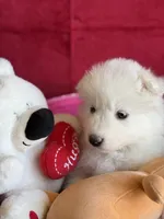 processed/6d11a35d-e48f-482f-88d9-84531793596b/listing/2ec2620d-a6ba-451e-9e1b-5e503f2a6309/46c3e15b-afe4-4b89-ac3d-10aac8c80165