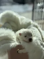 processed/6d11a35d-e48f-482f-88d9-84531793596b/listing/2ec2620d-a6ba-451e-9e1b-5e503f2a6309/4e182443-6a29-44e1-a850-9d56e7e7f8d1