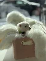 processed/6d11a35d-e48f-482f-88d9-84531793596b/listing/2ec2620d-a6ba-451e-9e1b-5e503f2a6309/ce1629b7-f262-4125-8554-2ea783d918e2