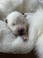 processed/6d11a35d-e48f-482f-88d9-84531793596b/listing/50e19df0-109e-42eb-a7e3-94b5b6e63251/028757e3-025a-421e-bd5b-8dae33e495a8