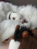 processed/6d11a35d-e48f-482f-88d9-84531793596b/listing/50e19df0-109e-42eb-a7e3-94b5b6e63251/a20e2353-6641-4e47-beaf-b5faaf497cc7