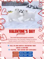 processed/6d11a35d-e48f-482f-88d9-84531793596b/listing/50e19df0-109e-42eb-a7e3-94b5b6e63251/f8e85324-2290-4d6c-b385-ed38123fcca5