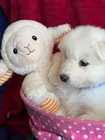 processed/6d11a35d-e48f-482f-88d9-84531793596b/listing/5a146345-589f-4dfc-9040-a3f49ac8f2f3/2d0bbd01-2df7-475c-844a-654cb08450af