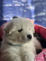 processed/6d11a35d-e48f-482f-88d9-84531793596b/listing/5a146345-589f-4dfc-9040-a3f49ac8f2f3/4f5668e6-b138-4852-83d2-e74787c3af88