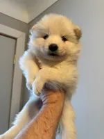 processed/6d11a35d-e48f-482f-88d9-84531793596b/listing/5a146345-589f-4dfc-9040-a3f49ac8f2f3/97595db8-c088-435d-acb2-4d077ce2c5b4