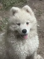 processed/6d11a35d-e48f-482f-88d9-84531793596b/listing/5a146345-589f-4dfc-9040-a3f49ac8f2f3/d099a995-015d-4389-a5a5-6a898b954978