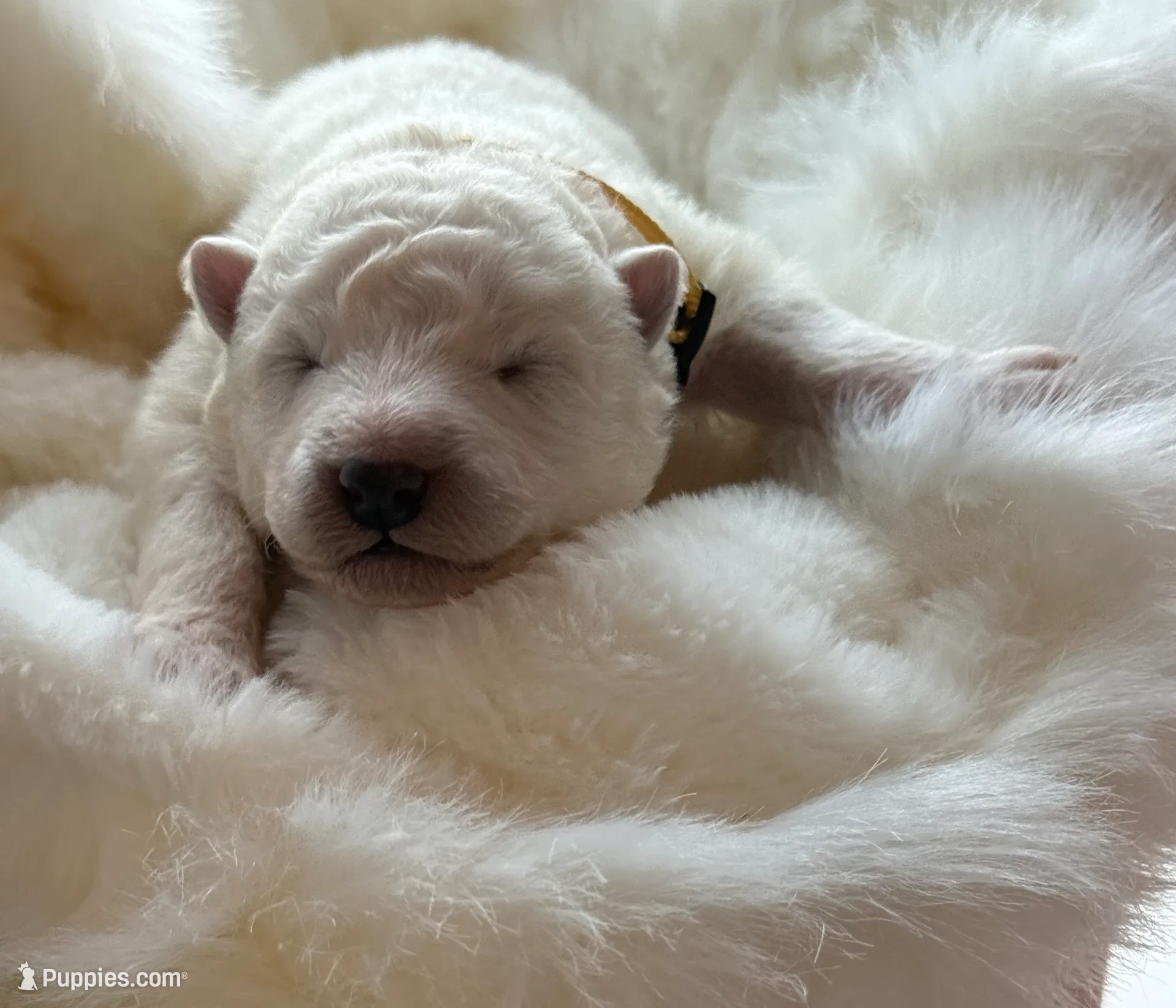 processed/6d11a35d-e48f-482f-88d9-84531793596b/listing/acedfb18-14ce-4882-a236-d95ef4232e71/2df3bdf4-6917-45f2-8c63-cffa05cf8b8b