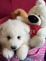 processed/6d11a35d-e48f-482f-88d9-84531793596b/listing/acedfb18-14ce-4882-a236-d95ef4232e71/39e7622f-6f10-434c-9d3c-86252404f5d4